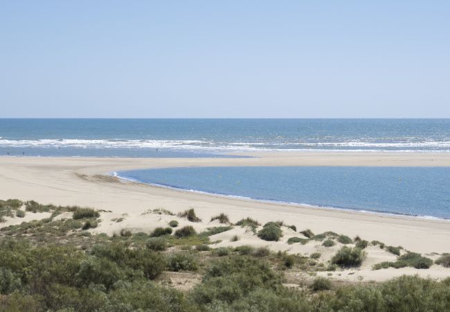 Apartamento en Isla Canela - Los Albatros - Playa de los Haraganes HAHB101P50 Apartamento en Isla Canela - Los Albatros - Playa de los Haraganes HAHB101P50