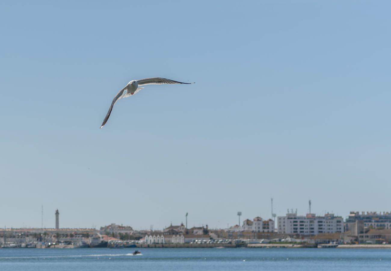 Lejlighed i Ayamonte - Apartamentos Vinos & Vinilos VFT