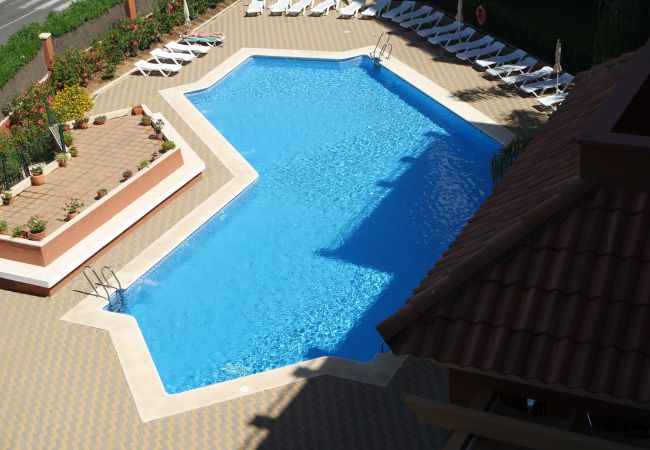 Ferienwohnung in Isla Canela - Los Gavilanes PLUS - Isla Canela Beach HLHG72P72