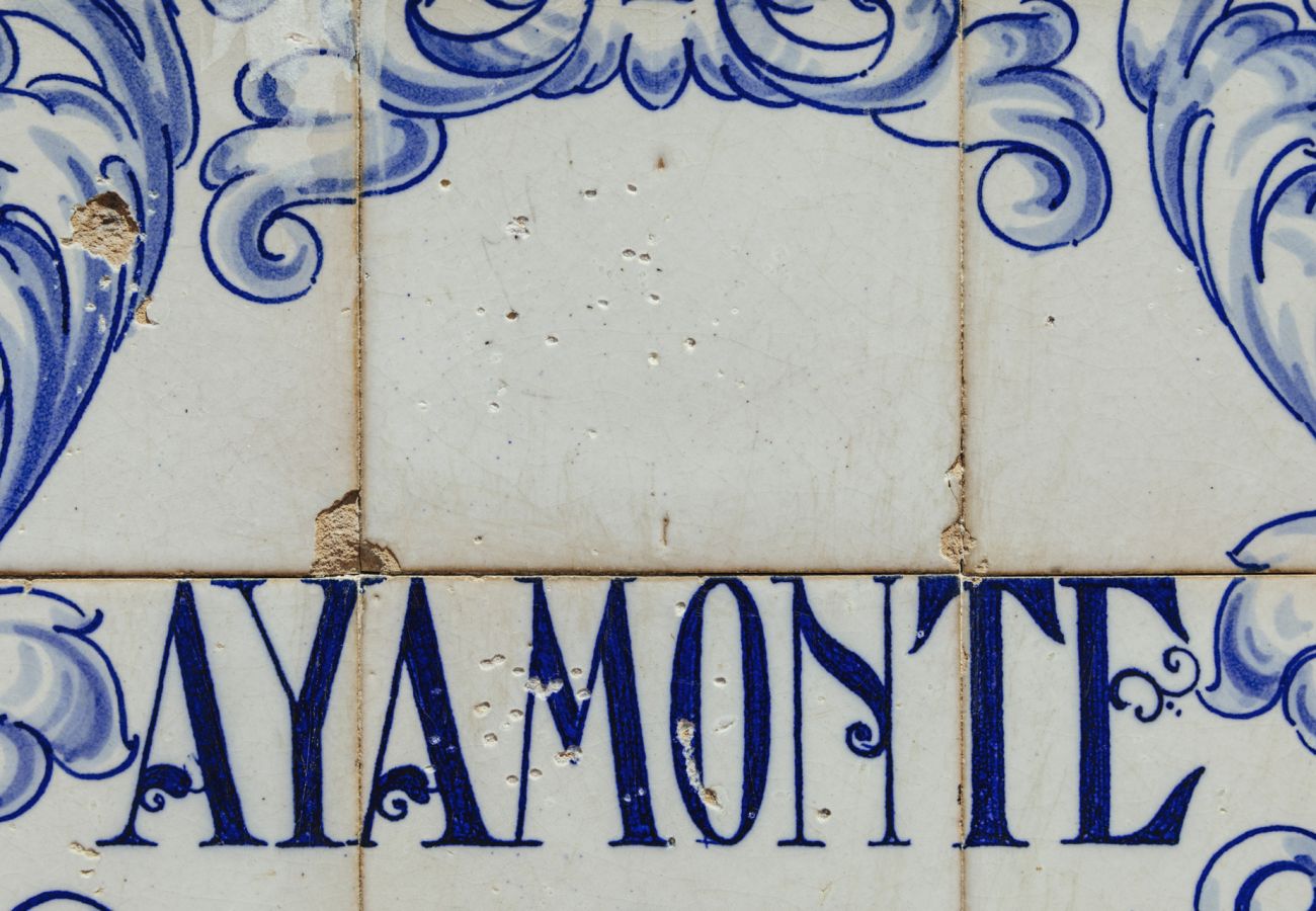 Ferienwohnung in Ayamonte - Vinos & Vinilos IV - Ayamonte Centre AVHVIIISP