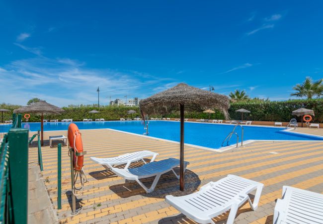 Ferienwohnung in Isla Canela - Los Albatros - Playa de los Haraganes HAHB77P120 Ferienwohnung in Isla Canela - Los Albatros - Playa de los Haraganes HAHB77P120