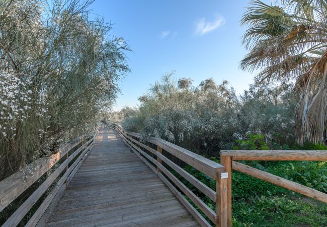 Appartement in Punta del Moral - Las Palmeras - Punta del Moral Beach PLHP51P65 Appartement in Punta del Moral - Las Palmeras - Punta del Moral Beach PLHP51P65