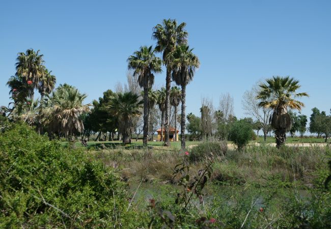 Appartement in Isla Canela - Hoyo I - Isla Canela Golf GHHI16B2P75 Appartement in Isla Canela - Hoyo I - Isla Canela Golf GHHI16B2P75