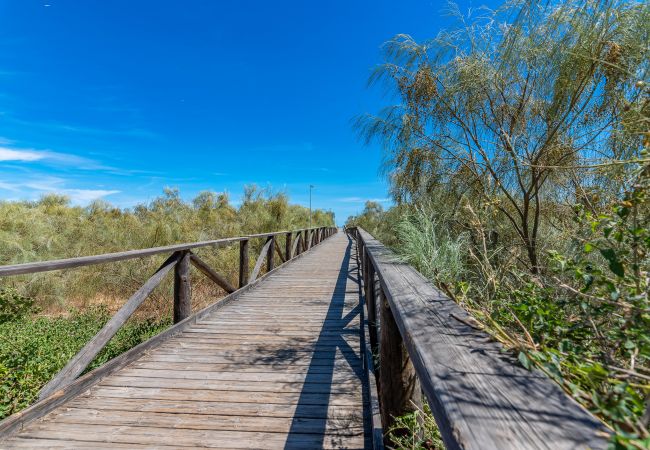 Apartamento em Punta del Moral - Playa Grande - Punta del Moral Beach PPHG27P1  Apartamento em Punta del Moral - Playa Grande - Punta del Moral Beach PPHG27P1