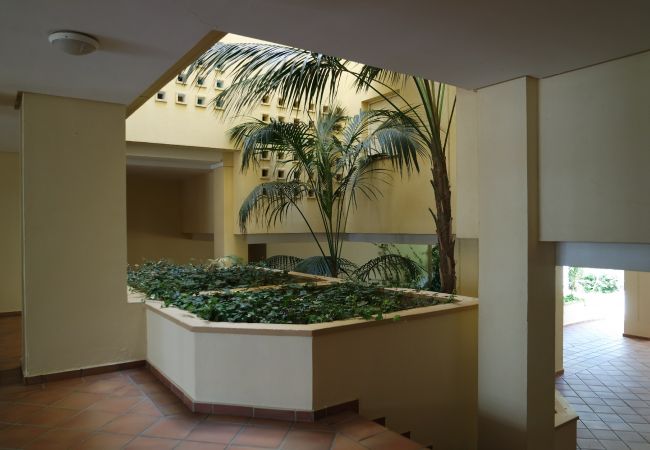 Lägenhet i Punta del Moral - Atlantico Penthouse PLUS - Punta del Moral Beach PAHT76P102 Lägenhet i Punta del Moral - Atlantico Penthouse PLUS - Punta del Moral Beach PAHT76P102